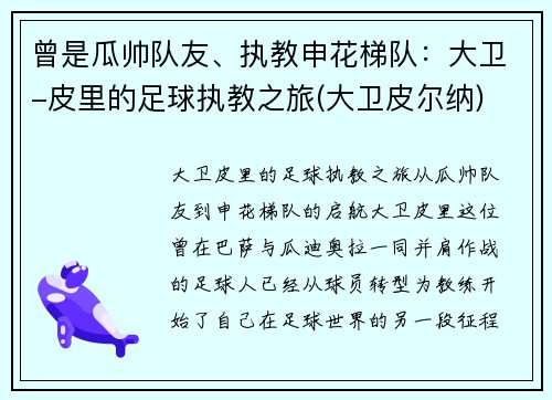 曾是瓜帅队友、执教申花梯队：大卫-皮里的足球执教之旅(大卫皮尔纳)