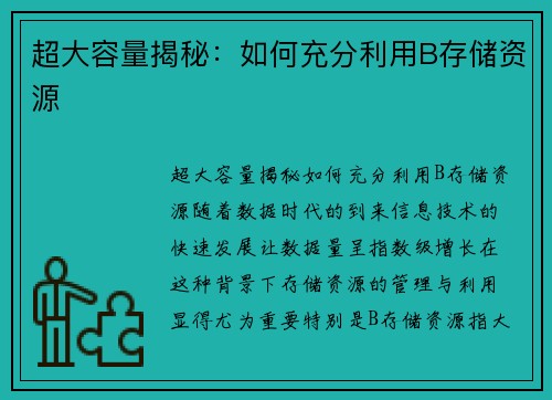 超大容量揭秘：如何充分利用B存储资源