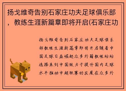 扬戈维奇告别石家庄功夫足球俱乐部，教练生涯新篇章即将开启(石家庄功夫足球队)