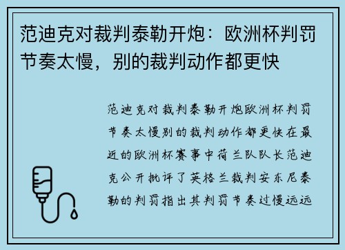 范迪克对裁判泰勒开炮：欧洲杯判罚节奏太慢，别的裁判动作都更快