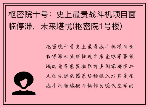 枢密院十号：史上最贵战斗机项目面临停滞，未来堪忧(枢密院1号楼)